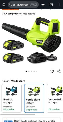 Wolfmen 20V Cordless Leaf Blower with 2 Batteries