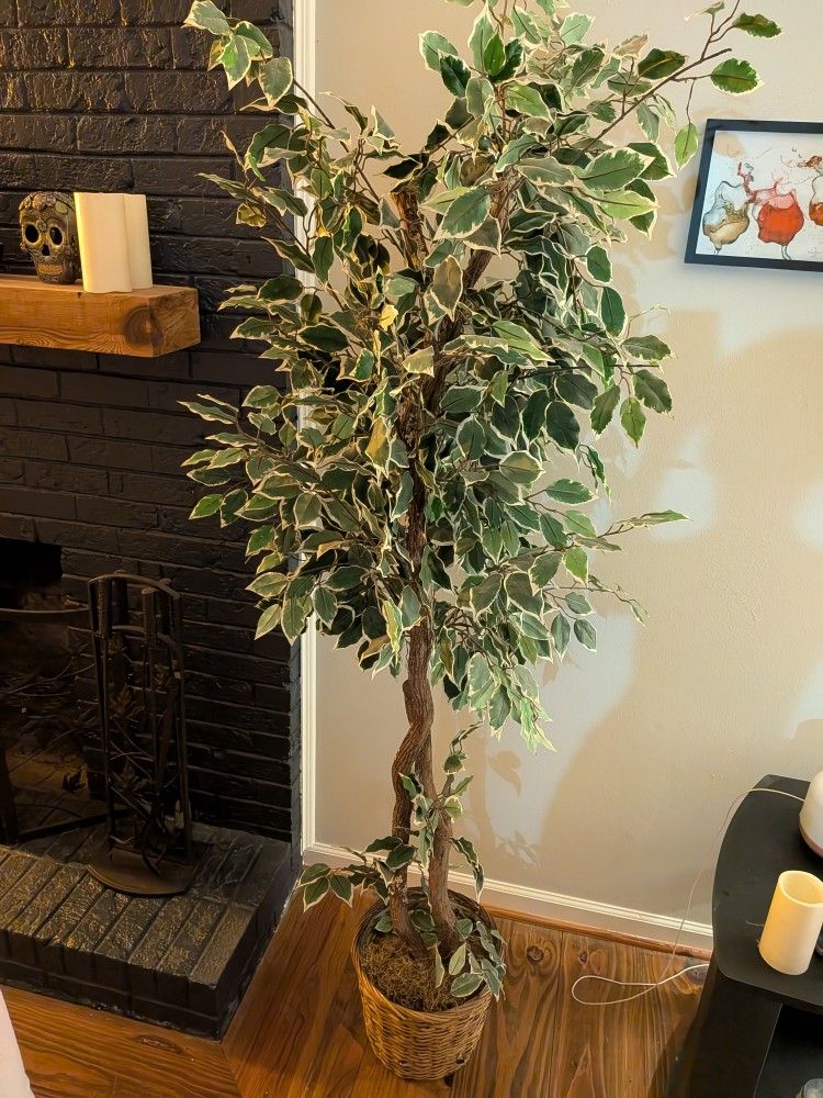 Artificial Plant
