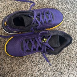 Zoom LeBron NXXT GEN Purple/black