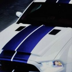 Carriage Strips Wraps