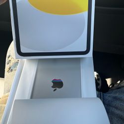 Apple iPad BRAND NEW SEALED A16 256GB
