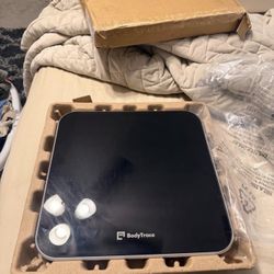 Bathroom Scale