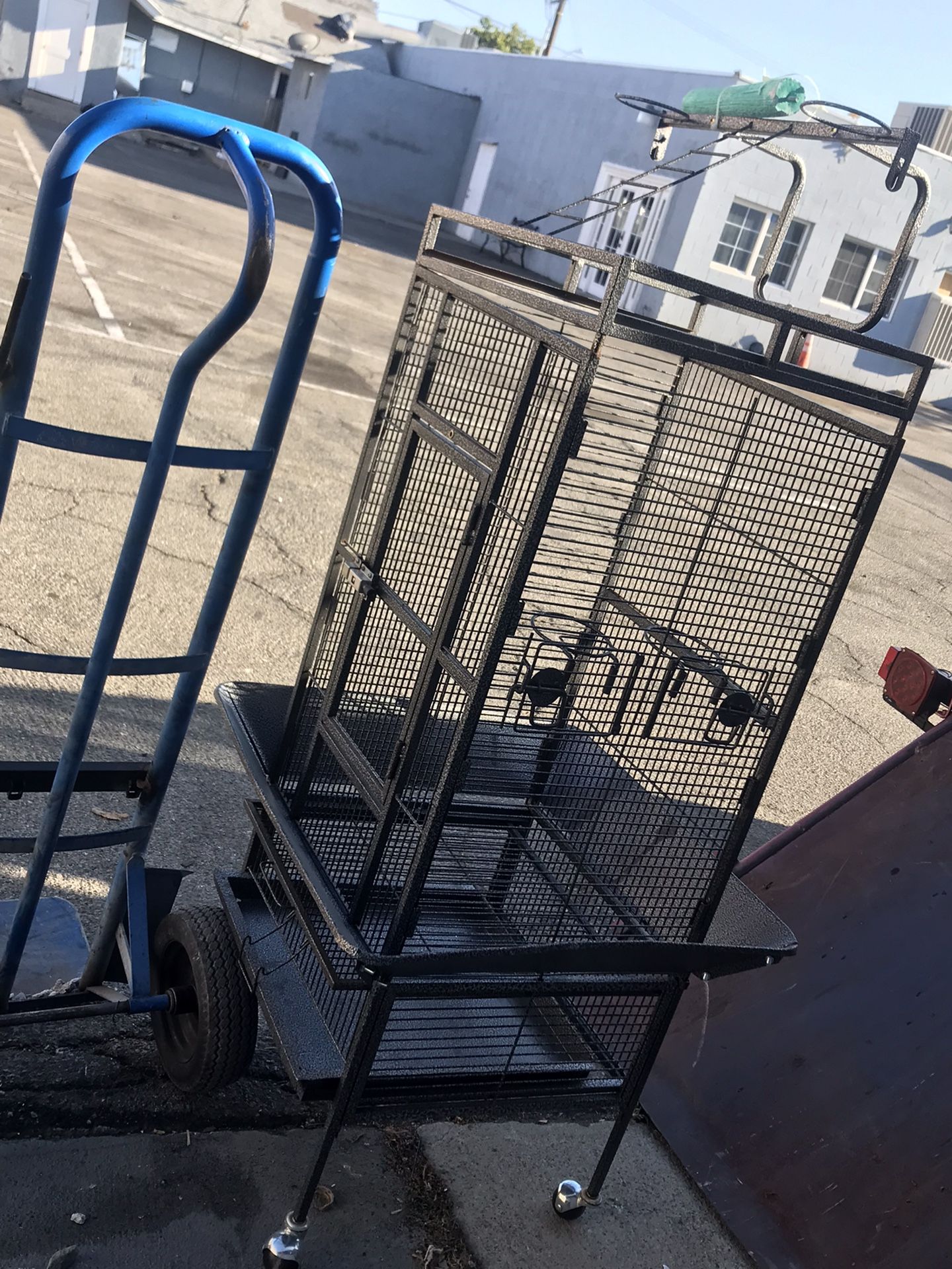 Bird Cage