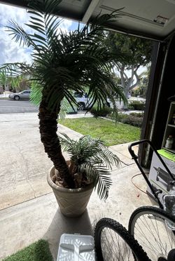 Artificial Palm Trees