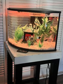 6 Gallon Fish Tank