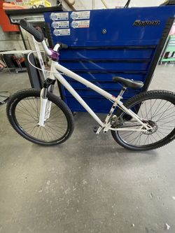 2010 Specialized Downhill P2 Series