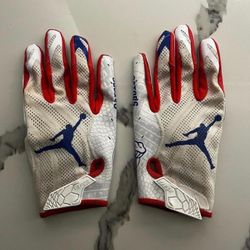 Florida Gators ( College Gloves ) 