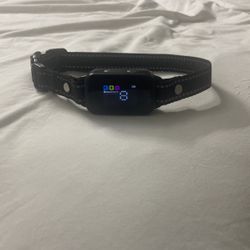 Dog Training Collar