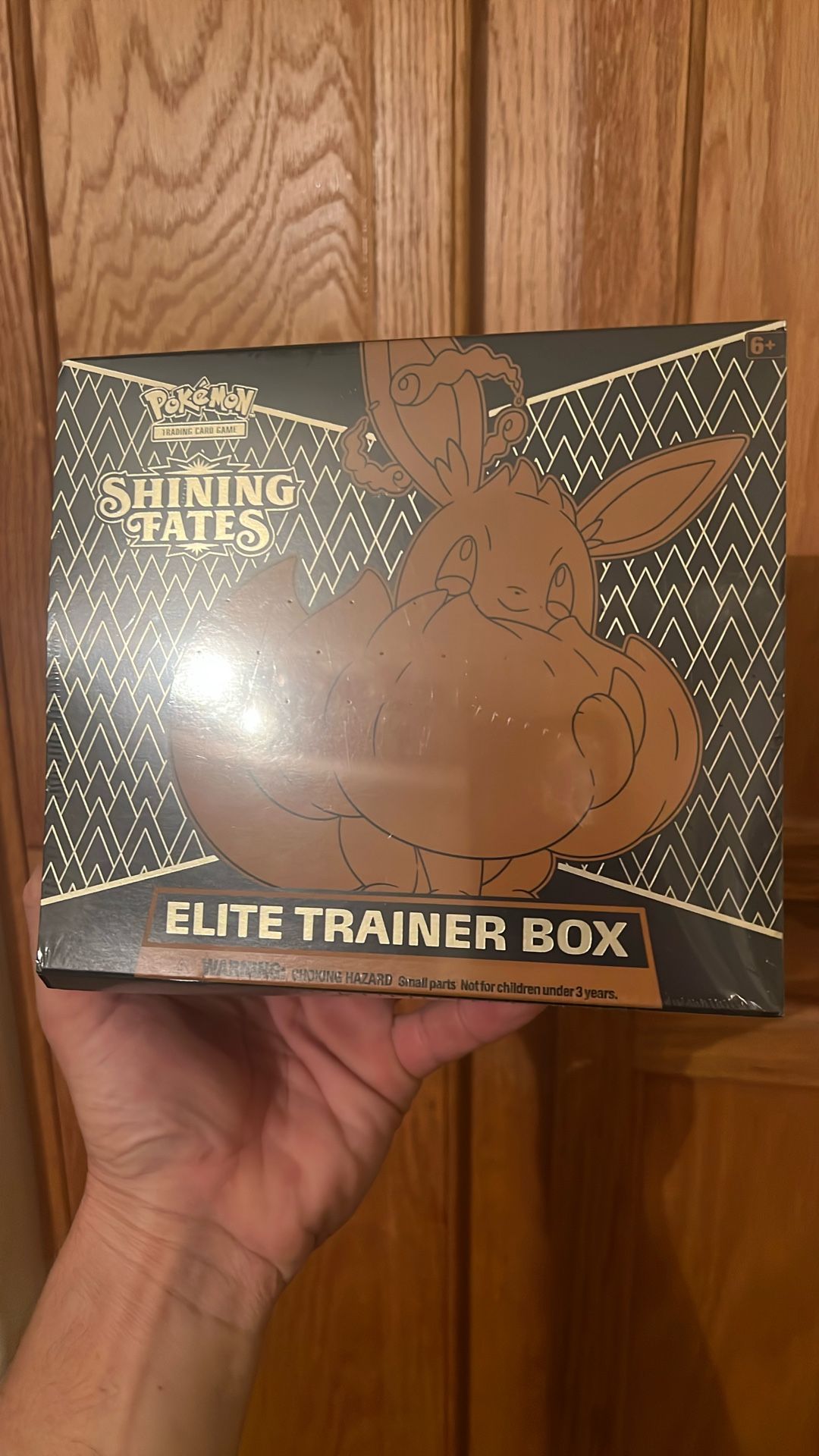 Shining Fates ETB