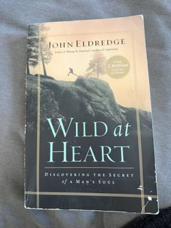 WILD AT HEART Paperback Book Christian Men’s Religion Spirituality