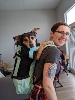 K9 Sport Sack Dog Carry Backpack