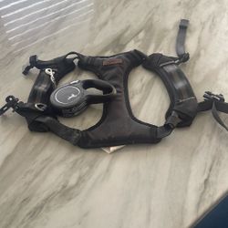Dog leash And harness