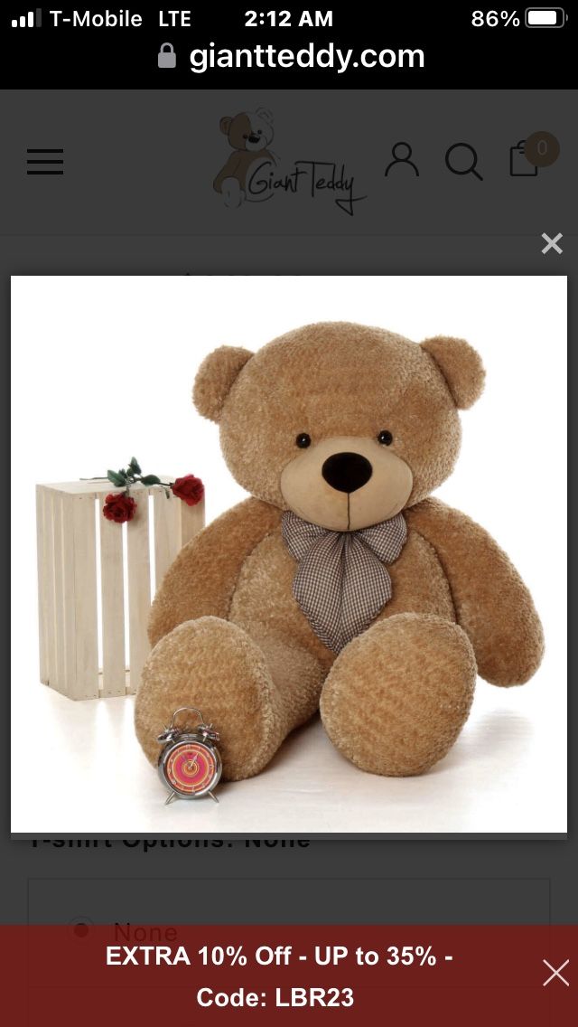 Teddy Bear And Ring For Sale
