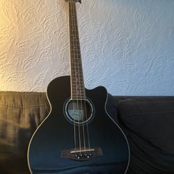 Ibanez Acoustic/Electric Bass