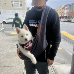 Dog Sling / Carrier