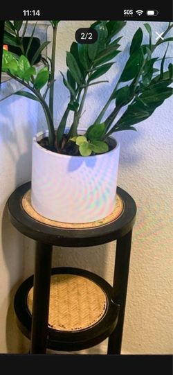 Plant Stand