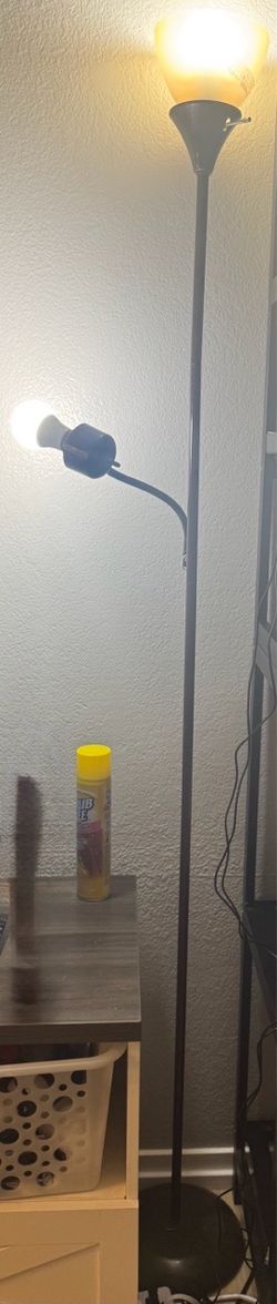 2 Light Standing Floor Lamp with Flexible Reading Arm