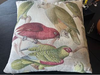 Beautiful Bird Pillow