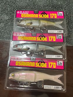 Raid fishing baits