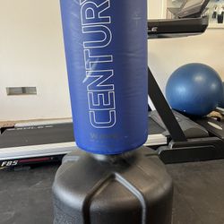 Century Wave Master Punching Bag