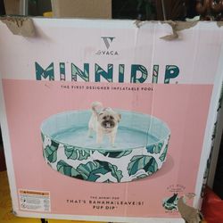 Minnidip