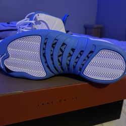 jordan 12s