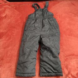 Size 2T Girls Snow Bib Pants