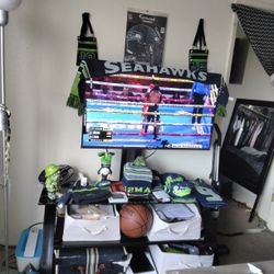 Seahawk Stuff Everything You See For $65 Except T.V