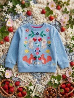 Kids Blue Embroidered Sweatshirt