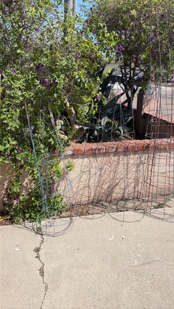 Free tomato cages