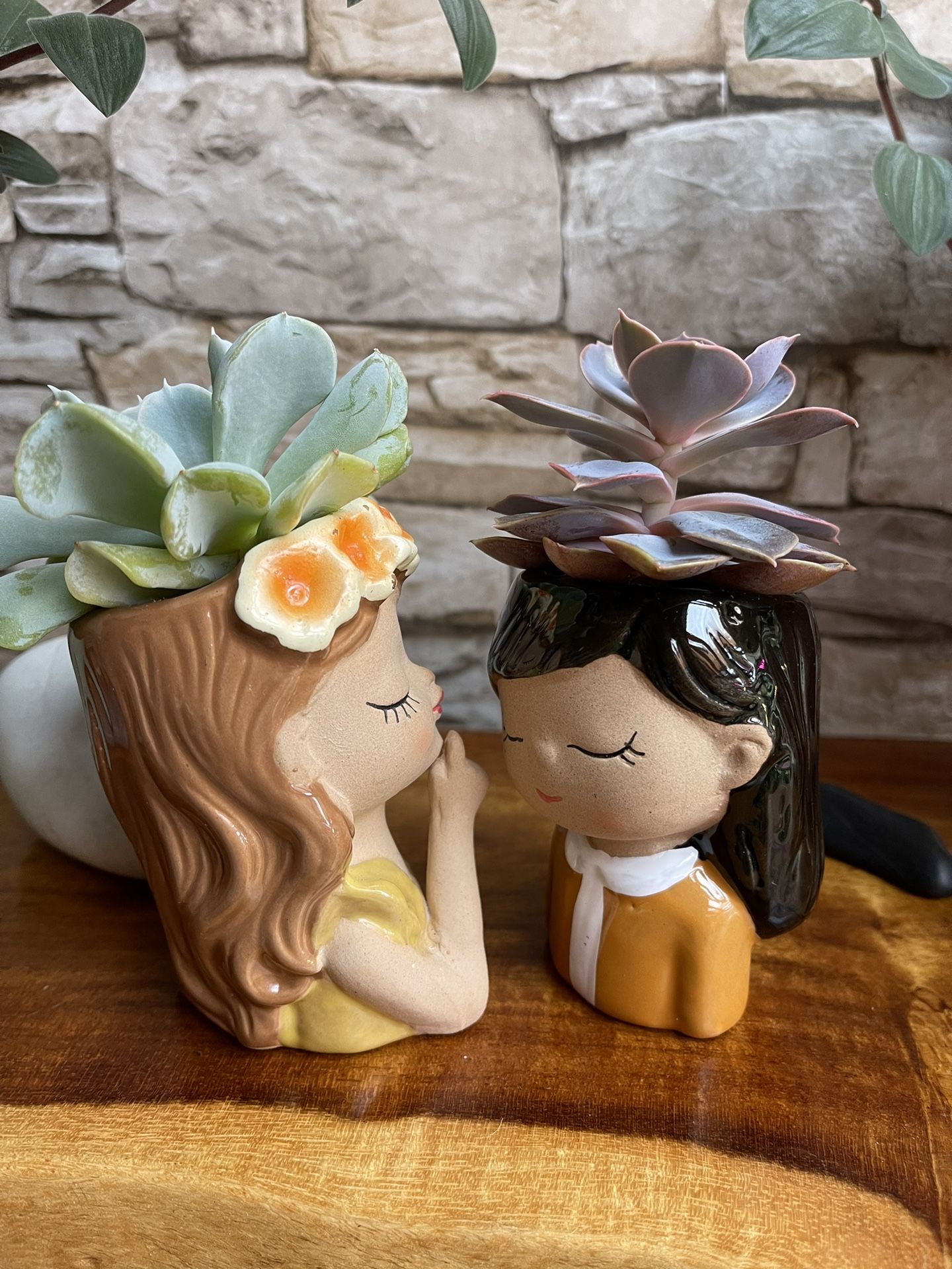 🎁 Lovely Live Succulents In Cute 3.5"H Ceramic Pots.