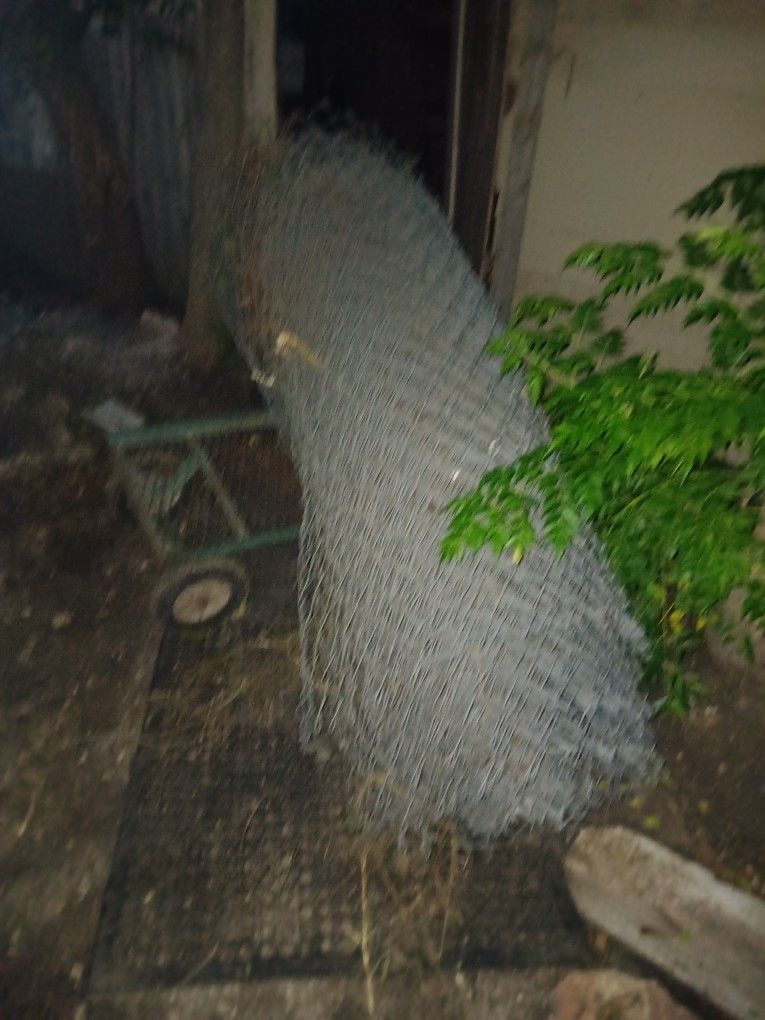 Chain Link Fence