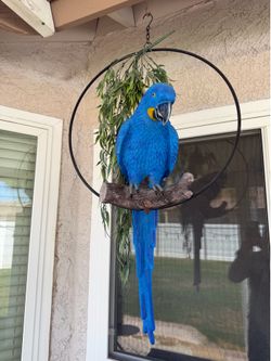 Hanging Parrot Decor