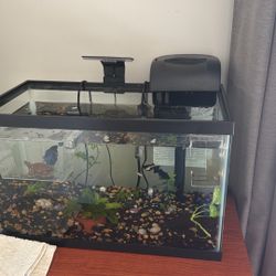 Fish Tank With Accessories 