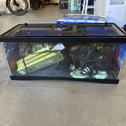 Reptile Terrarium With Accessories 