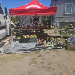 Yard Sale Of Tools 