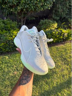 Nike Lebron 22  dunkman size 12 brand new no box