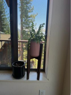 Plant & Pot