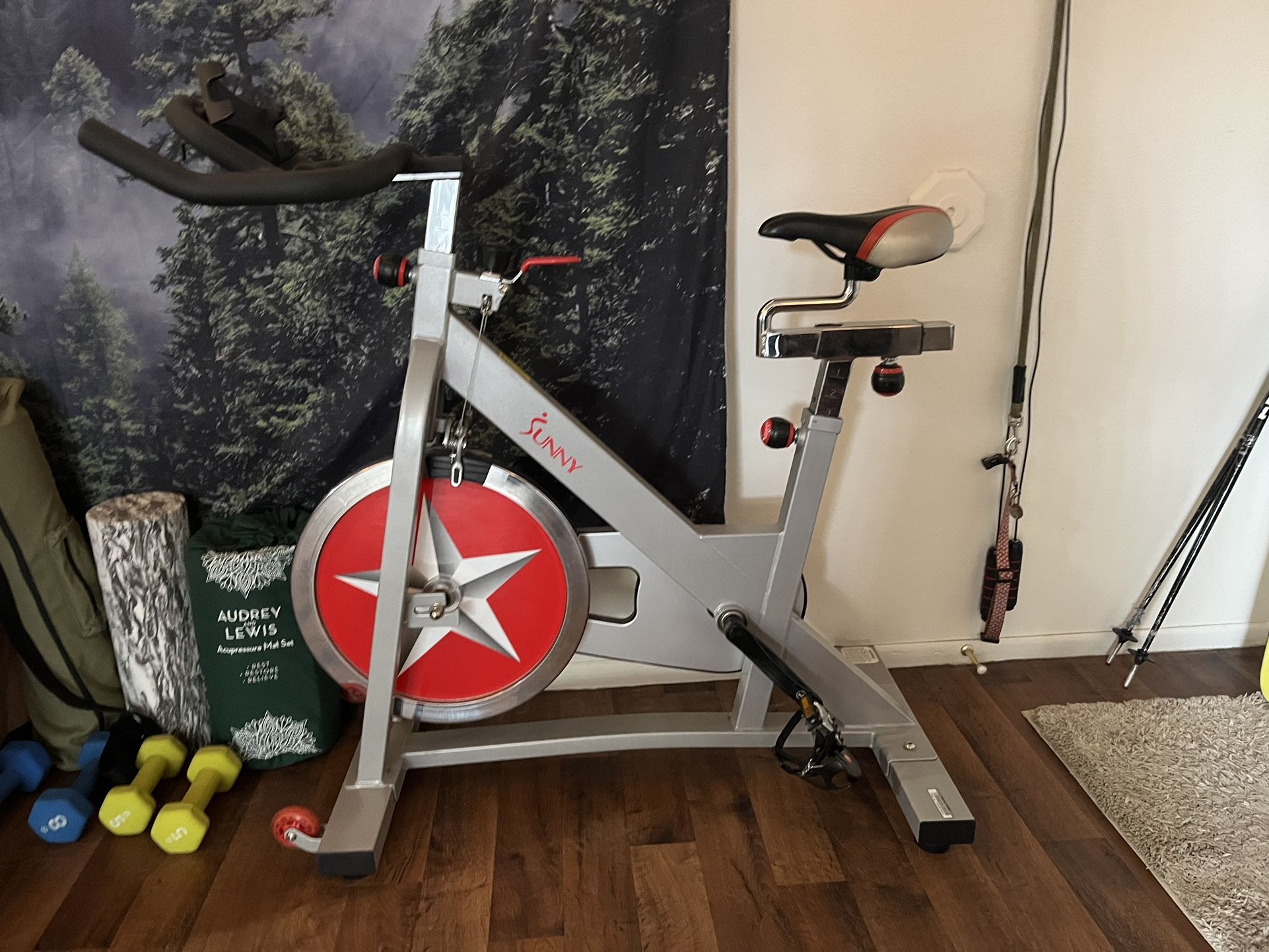 Sunny Health Fitness Exercise Bike