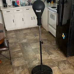 Title Punching Bag 