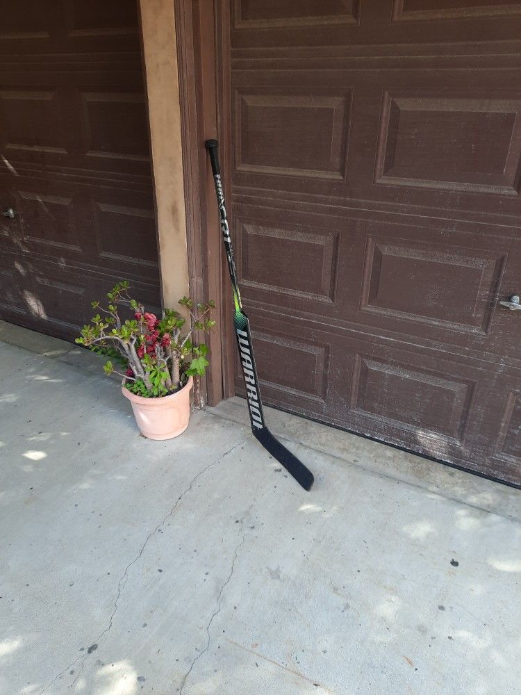 Hockey Goalie Stick