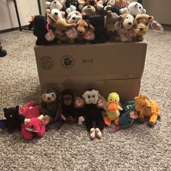 Beanie Babies ($8 Each)