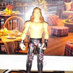 Wwe Action Figure Shawn Michaels