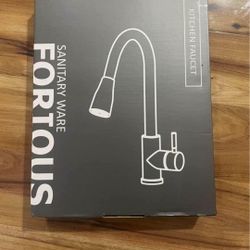 Brand New Kitchen Faucet 