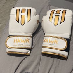 Boxing Gloves