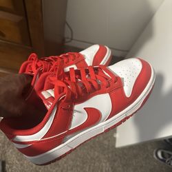 Size 9 Dunks