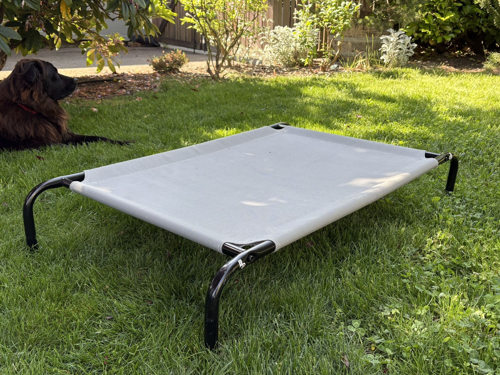 Elevated Dog Bed / Hammock