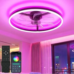 NIORSUN RGB Ceiling Fan