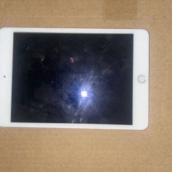 iPad Mini 