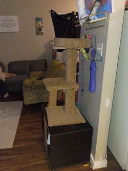 Cat condo playhouse